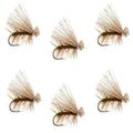 Olive Elk Hair Caddis Classic Trout Dry Fly - Set of 6 Flies Size 16