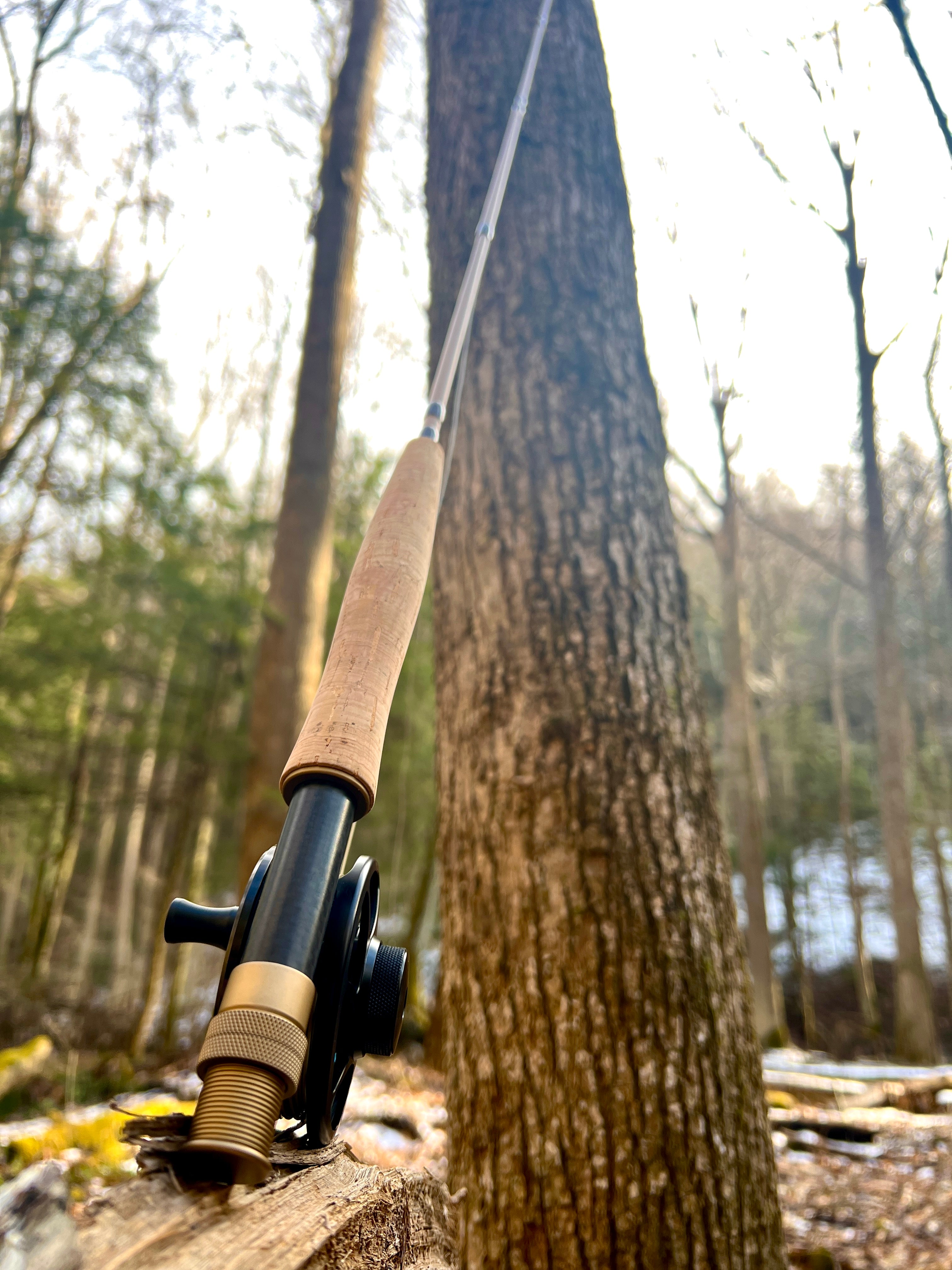 WLR Fly Rod