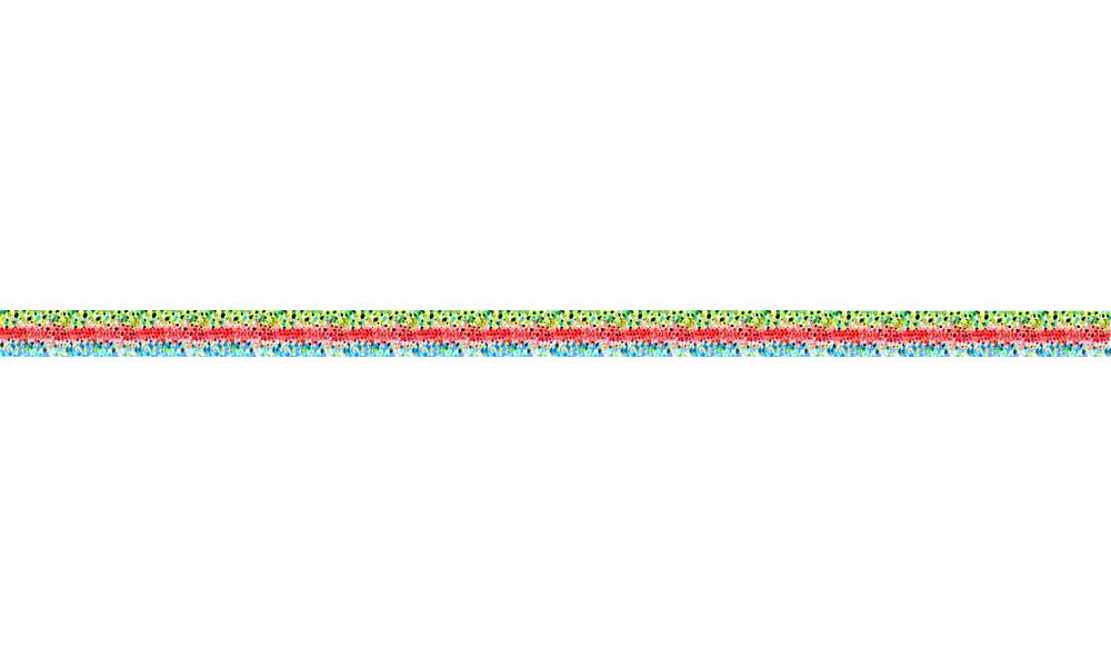 Rainbow#3 Trout Dog Collar