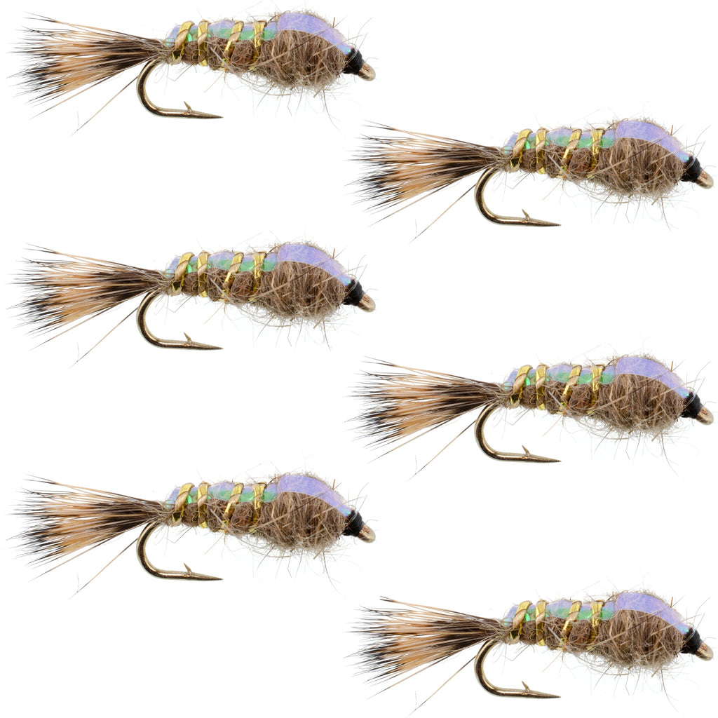Classic Weighted Flashback Gold Ribbed Hares Ear Nymph - Set of 6 Flies - Size 18