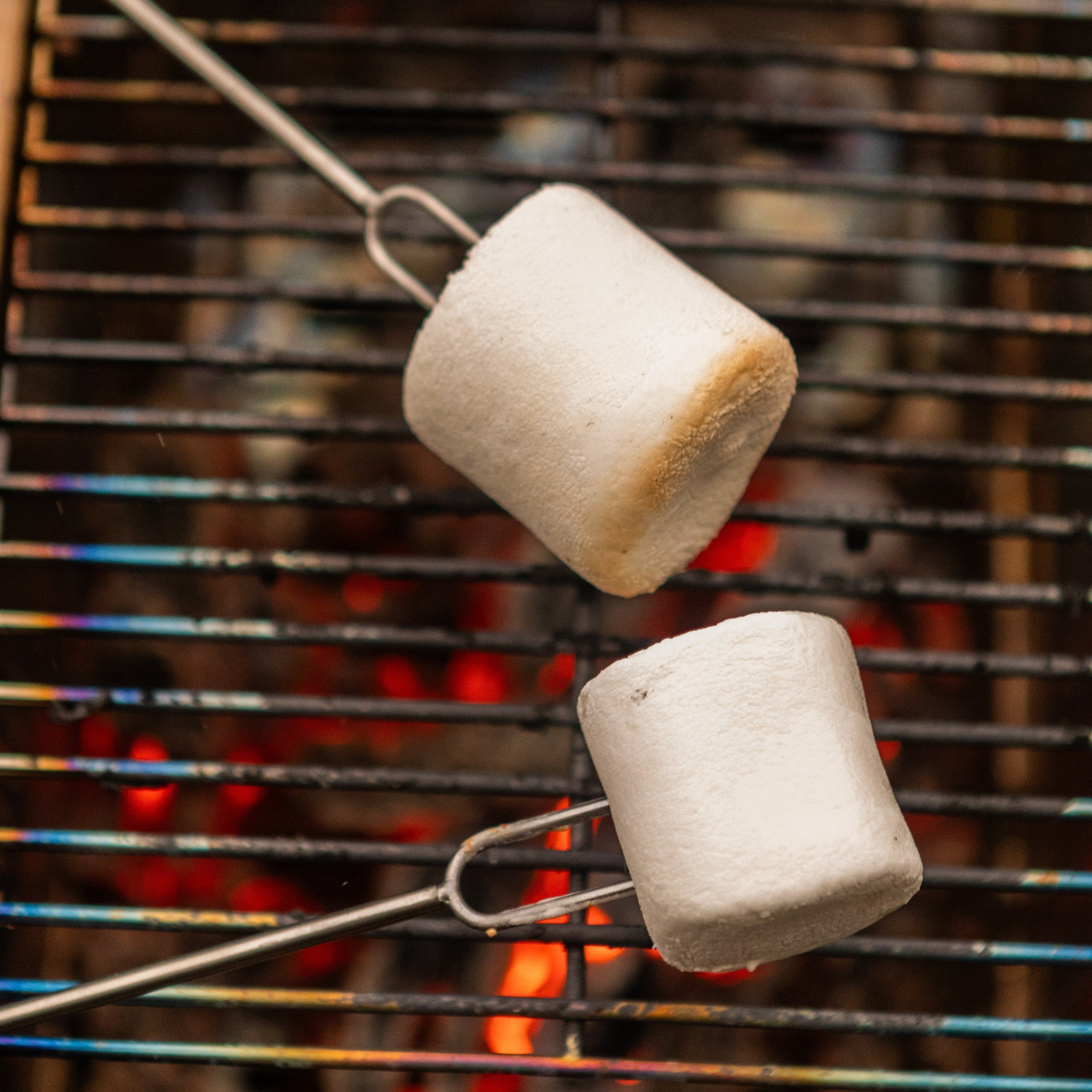 Roasting Fork 2-Pack