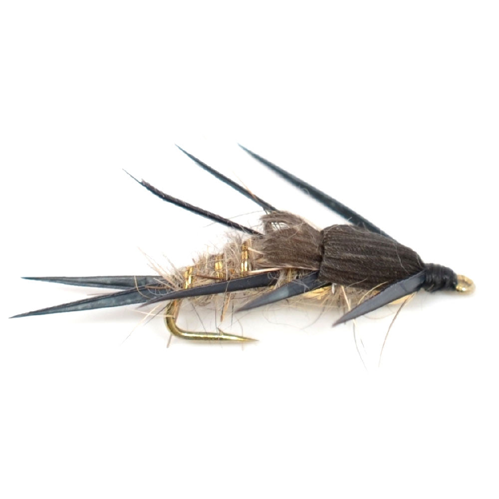 Eastern Trout Fly Assortment - 12 Essential Dry and Nymph Fly Fishing Flies Collection - Trout Flies with Gift Fly Box