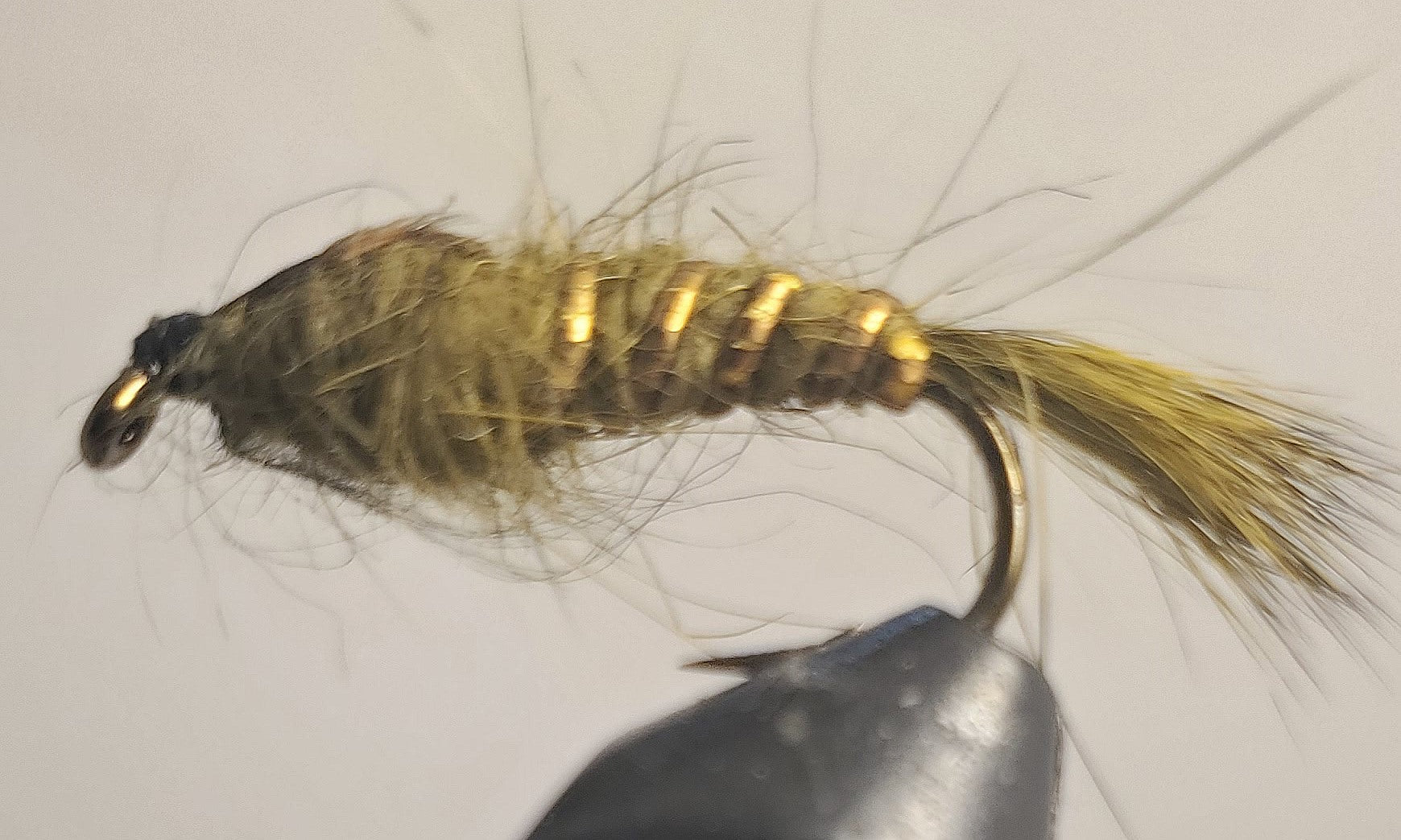 Hare's Ear - Olive