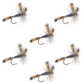 Gray Wulff Classic Trout Dry Fly - 6 Flies Hook Size 10