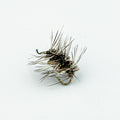 Griffith’s Gnat