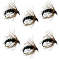 Black Holy Grail Caddis Pupa Emerger 6 Flies Hook Size 12