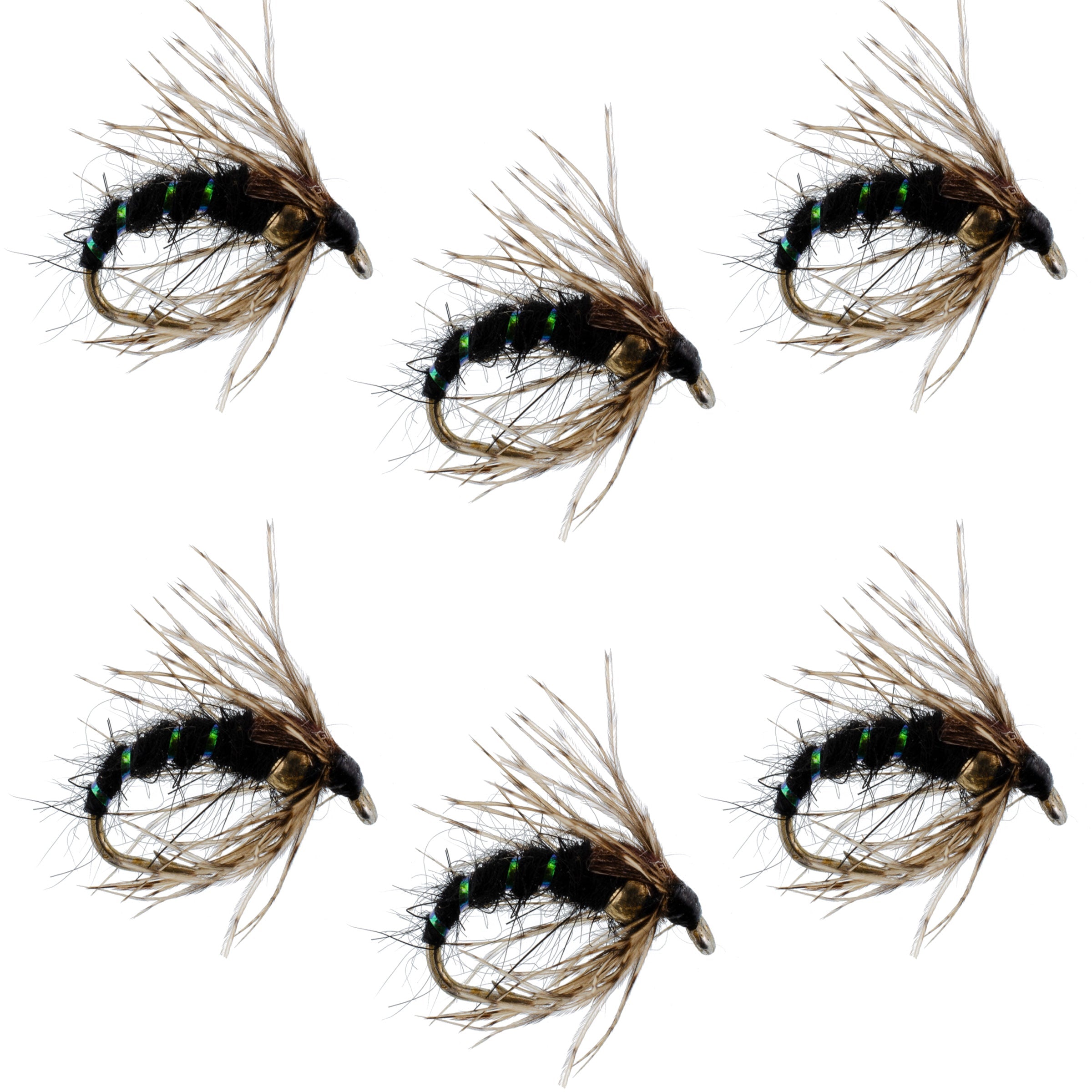 Black Holy Grail Caddis Pupa Emerger 6 Flies Hook Size 12
