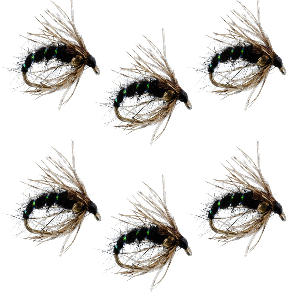 Black Holy Grail Caddis Pupa Emerger 6 Flies Hook Size 14
