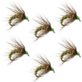 Olive Holy Grail Caddis Pupa Emerger 6 Flies Hook Size 14