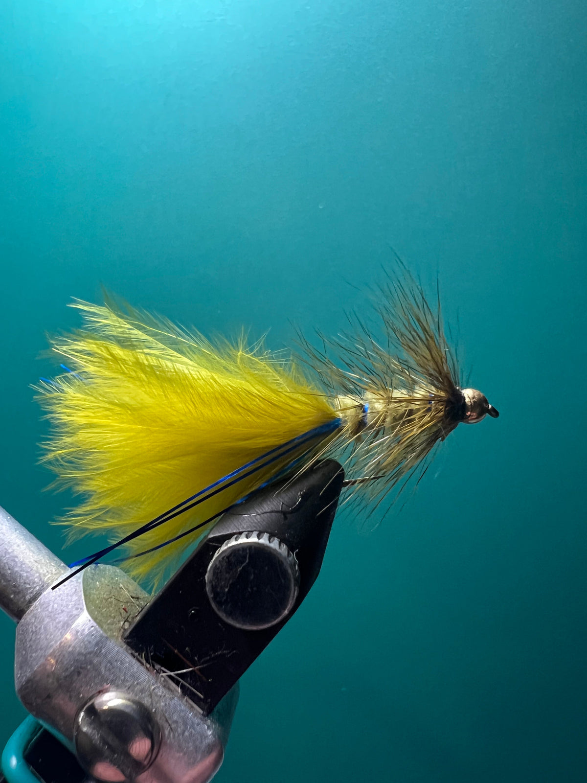 Damsel Nymph