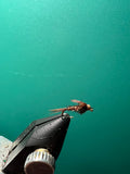Pheasant Tail