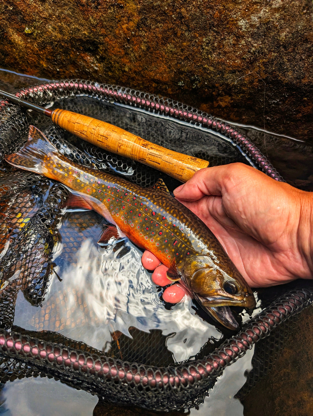 Native Bow Net