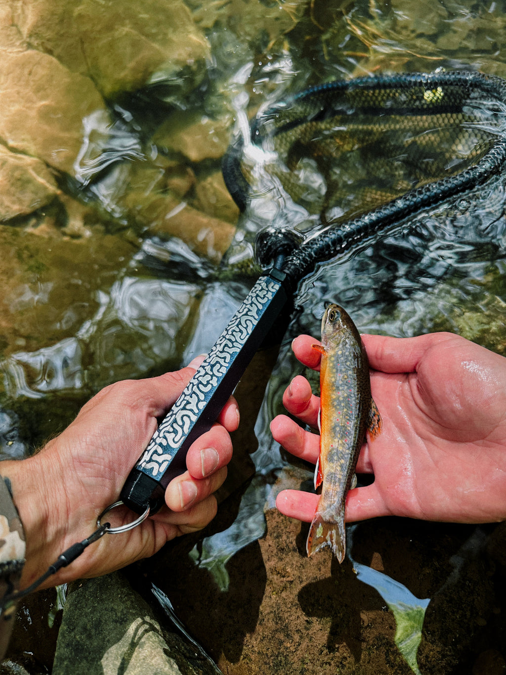 Native Brook Net