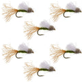 Olive Iris Caddis Emerger Caddis  Trout Dry Fly - 6 Flies Hook Size 16