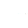 Easton Genesis Arrows Teal 1820 6 Pk.