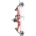 Cajun Sucker Punch Pro Rtf Bowfishing Package Red 50 Lbs. Rh