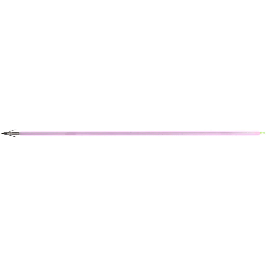 Muzzy Saber Fish Arrow  Carp Point