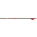 Gold Tip Hunter Arrows 500 Raptor Vanes 6 Pk.