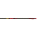 Gold Tip Hunter Arrows 340 4 In. Vanes 6 Pk.
