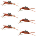 Tungsten Bead Kaufmann's Brown Stone Fly with Rubber Legs - Stonefly Wet Fly - 6 Flies Hook Size 8