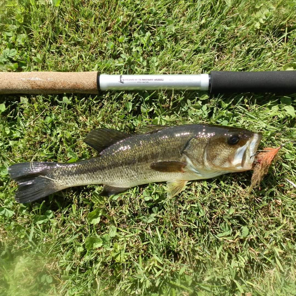 Open Waters