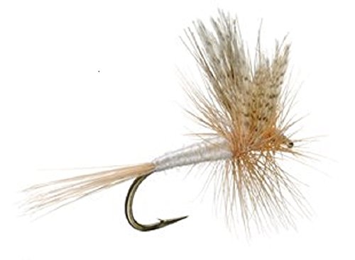 3 Pack Light Cahill Classic Trout Dry Fly Fishing Fly - Hook Size 12