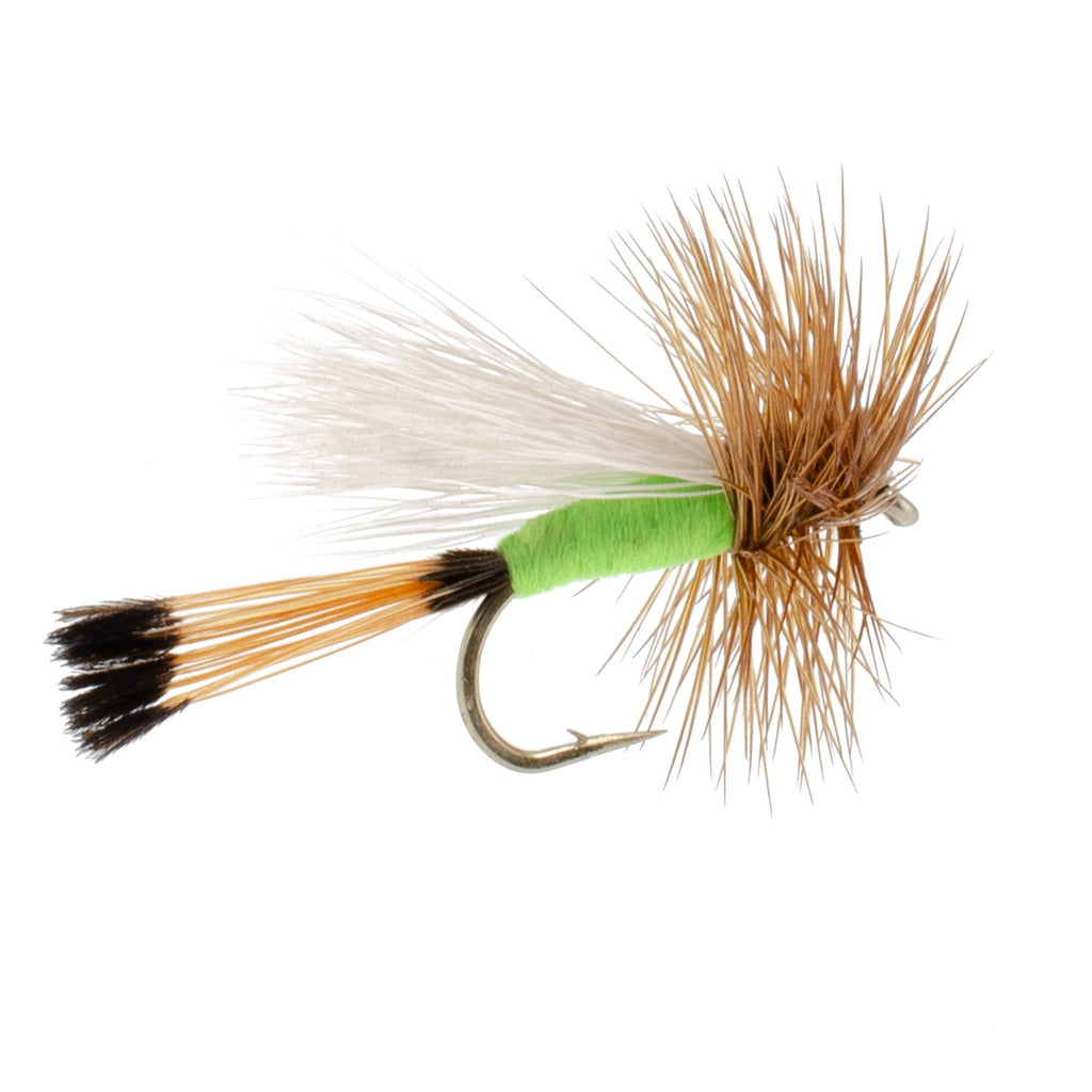 3 Pack Lime Trude Classic Hair Wing Dry Fly - Hook Size 16