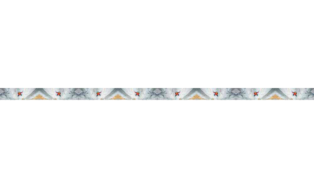 Mountaincognito Big Wall Dog Collar