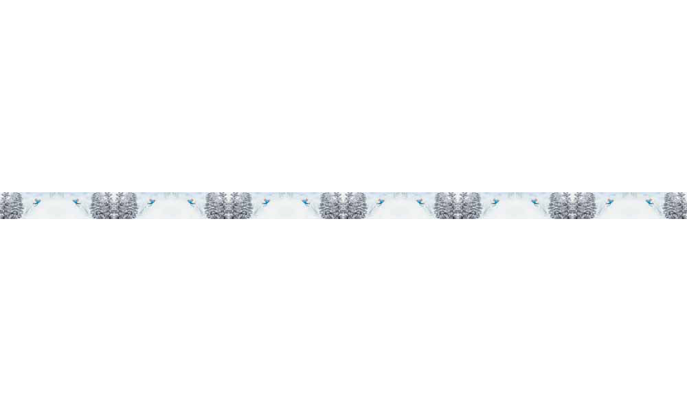 Mountaincognito Pow Dog Collar
