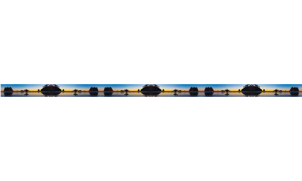 Mountaincognito Two Surfers Dog Leash