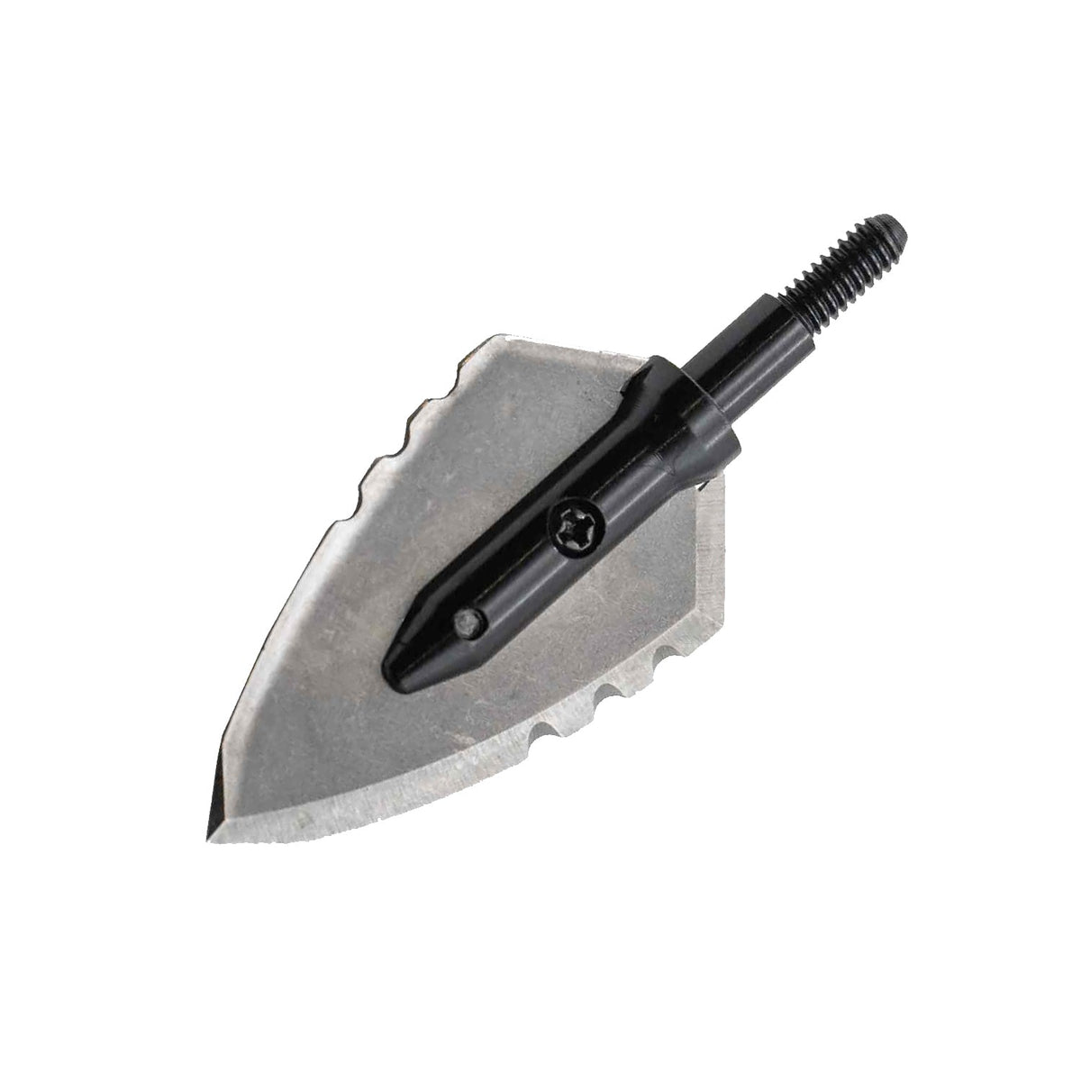 Single Bevel Buzzcut 2-Blade Broadhead 3-Pack