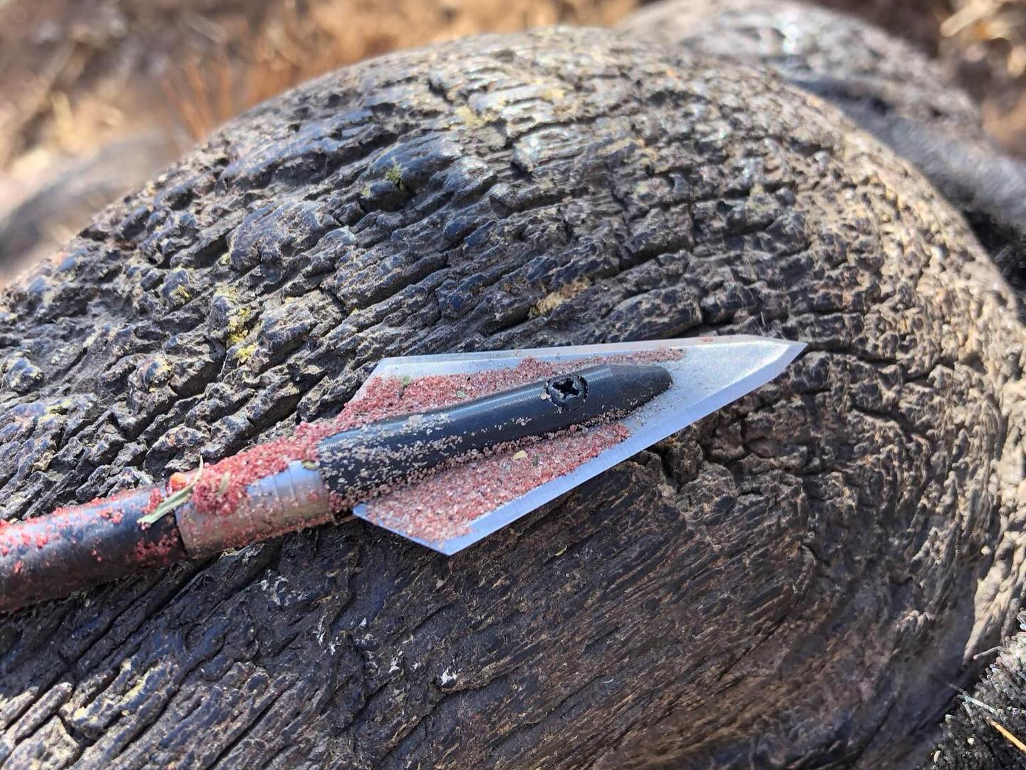 Stinger Killer Bee 2-Blade Broadhead 3-Pack