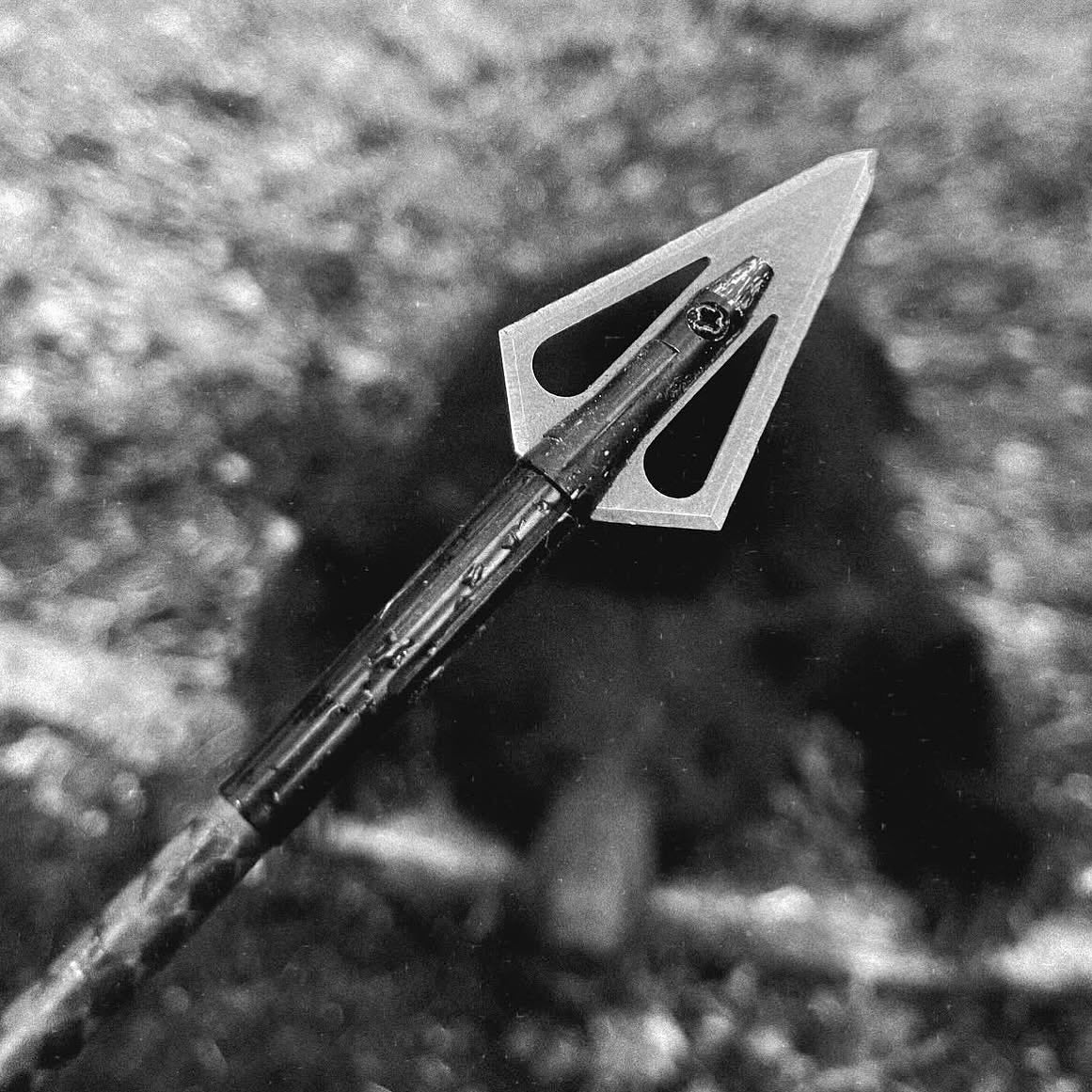Stinger 4-Blade Broadhead 3-Pack