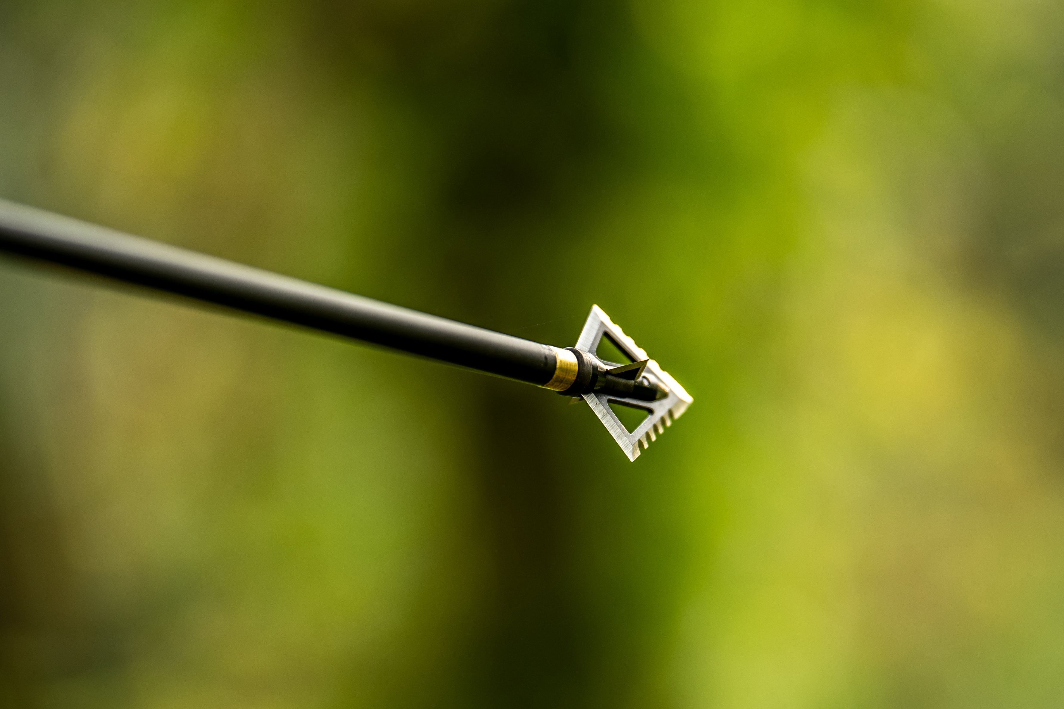 Black Hornet Ser-Razor 4-Blade Broadhead 3-Pack