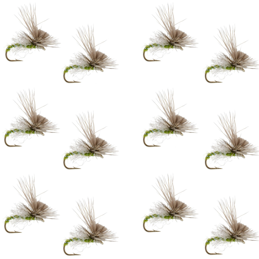 Green Drake Missing Link Mayfly Flies Hook 12 Flies Size 10