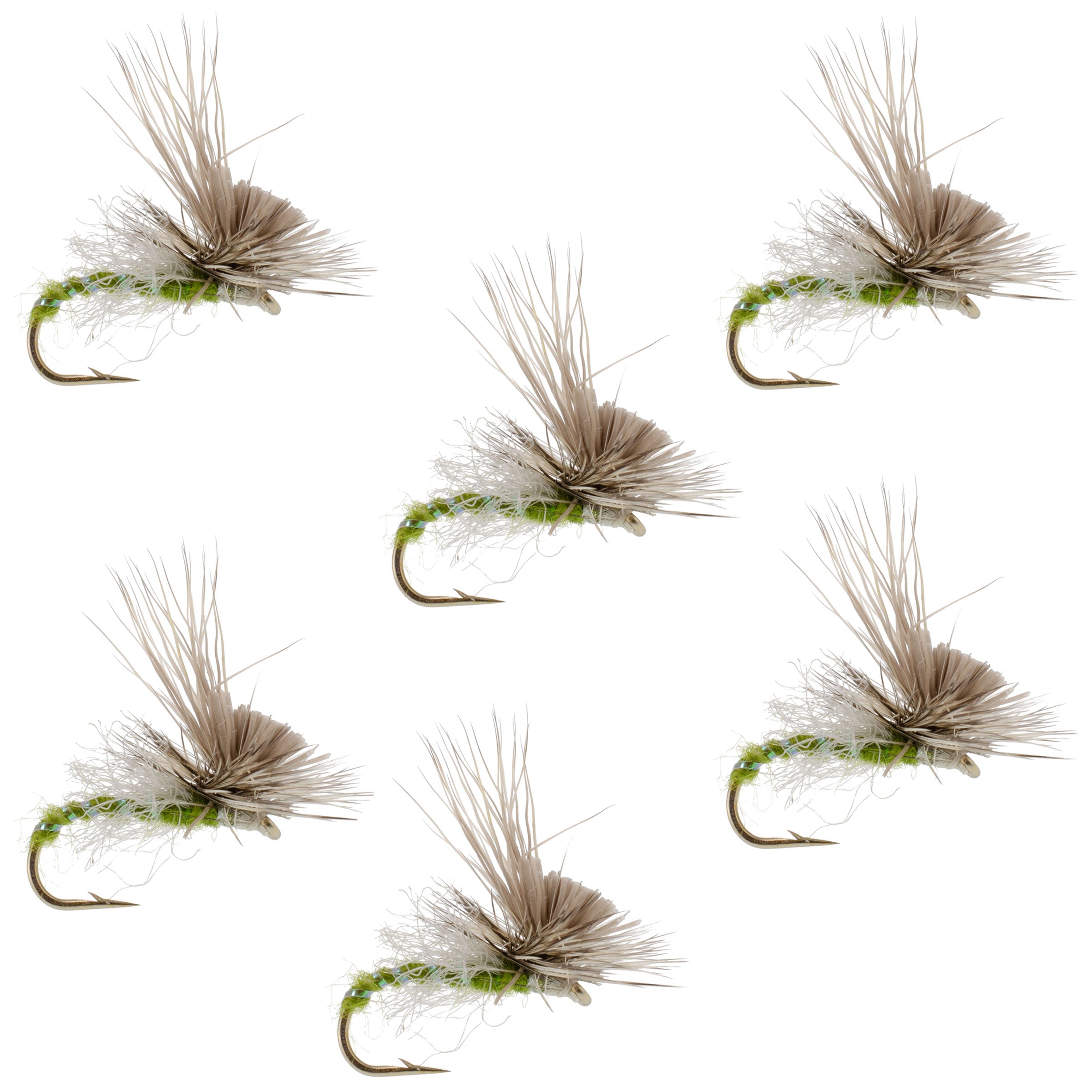 Green Drake Missing Link Mayfly Flies Hook 6 Flies Size 10