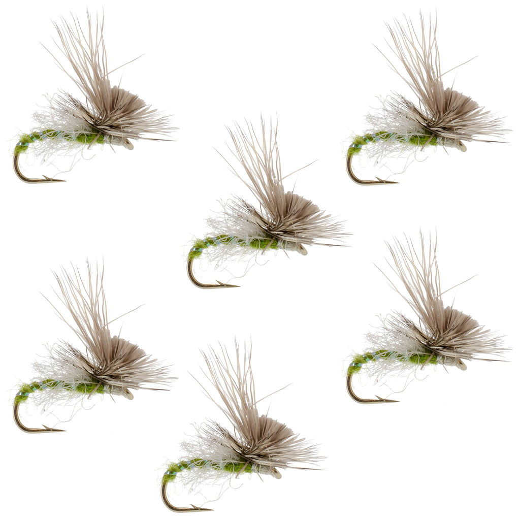 Green Drake Missing Link Mayfly Flies Hook 6 Flies Size 12