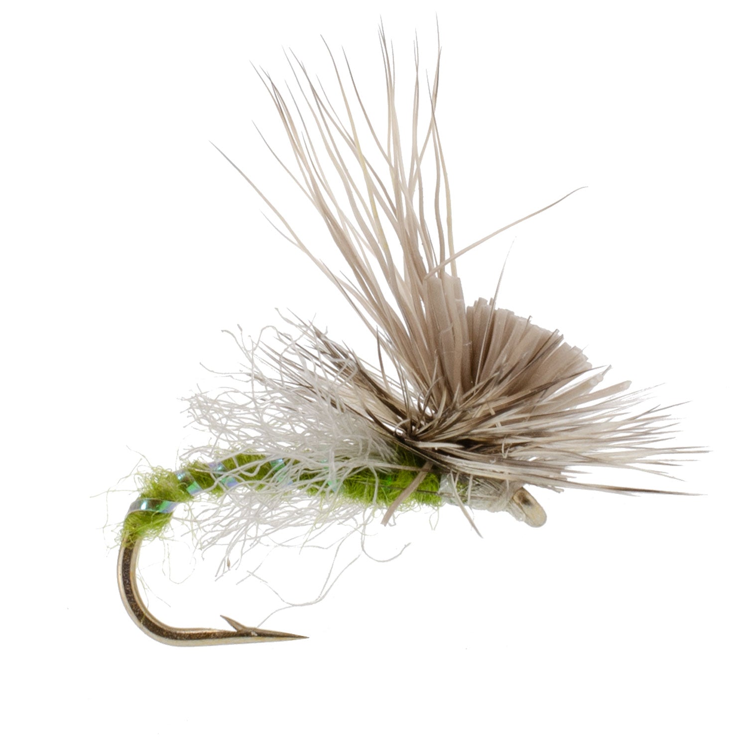 Green Drake Missing Link Mayfly Flies Hook 6 Flies Size 12