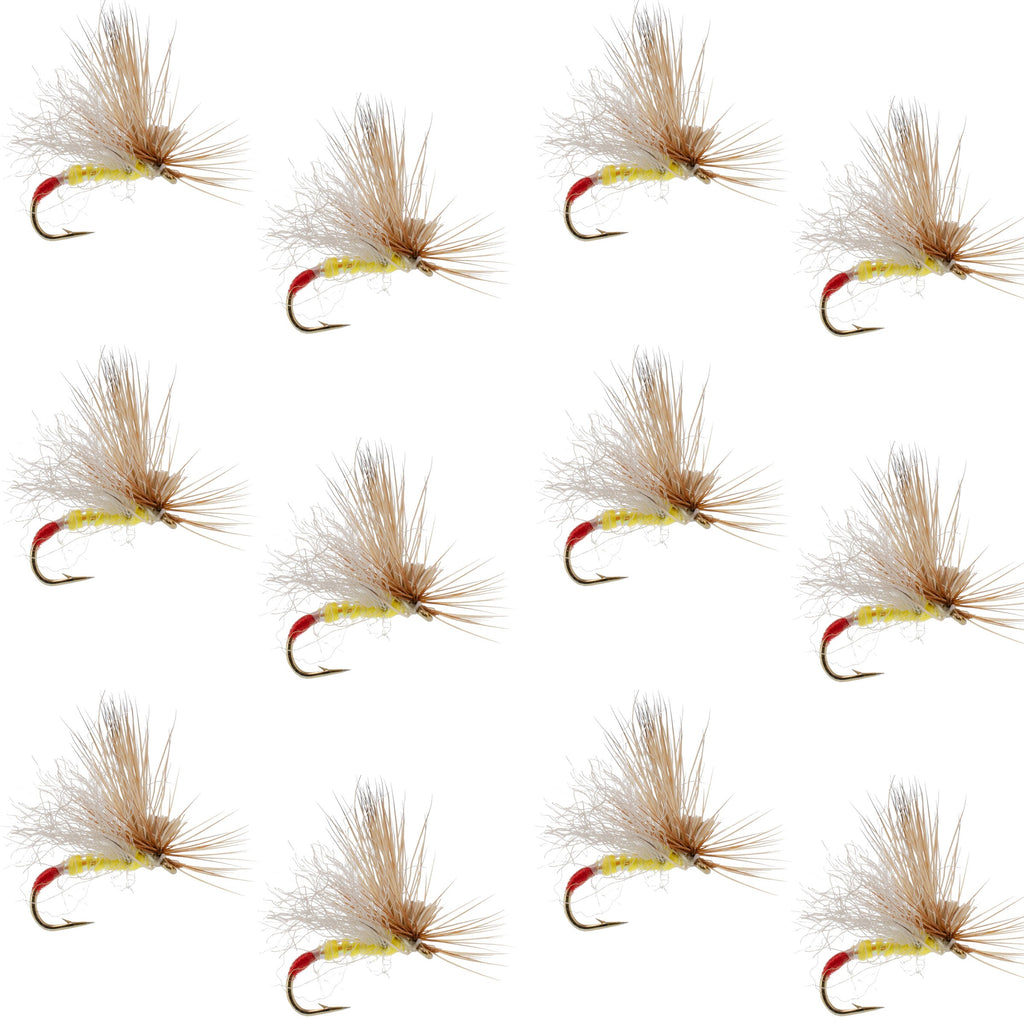 Yellow Sally Missing Link Stonefly -12 Flies Hook Size 14