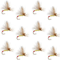 Yellow Sally Missing Link Stonefly -12 Flies Hook Size 14