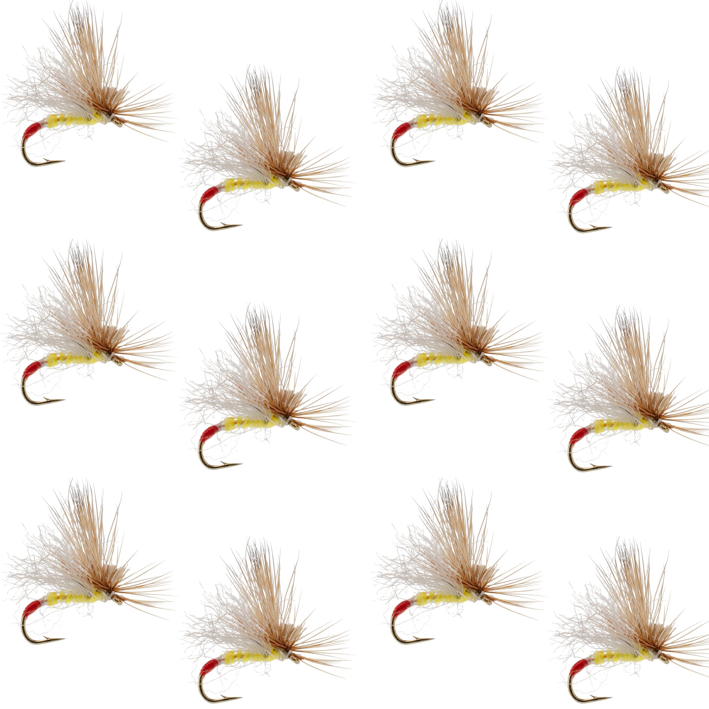 Yellow Sally Missing Link Stonefly -12 Flies Hook Size 14