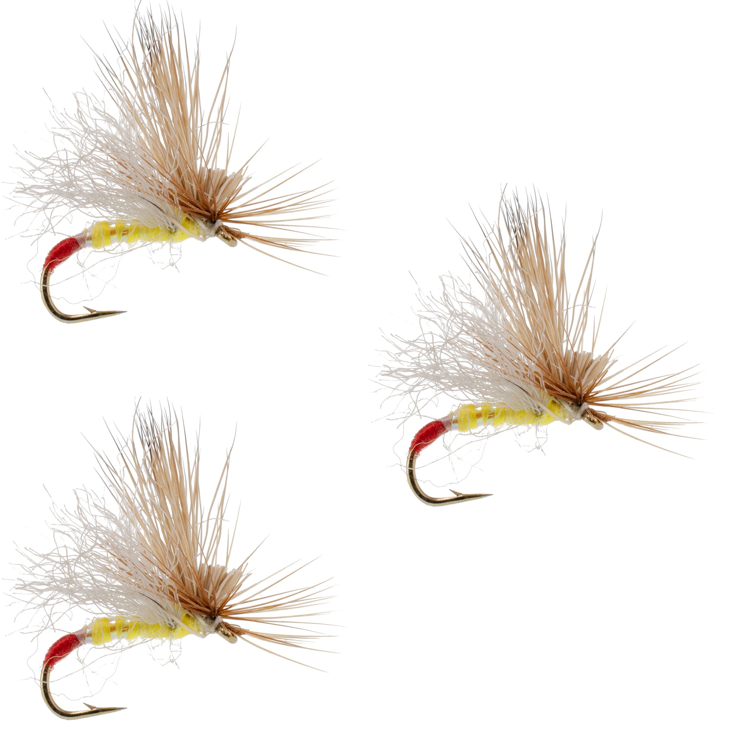 3 Pack Yellow Sally Missing Link Stonefly Flies Hook Size 14