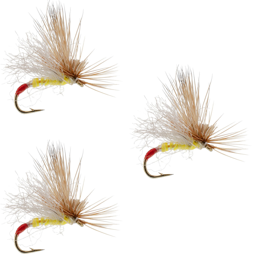 3 Pack Yellow Sally Missing Link Stonefly Flies Hook Size 16