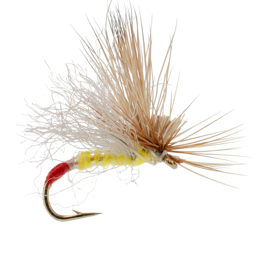 Yellow Sally Missing Link Stonefly -12 Flies Hook Size 14