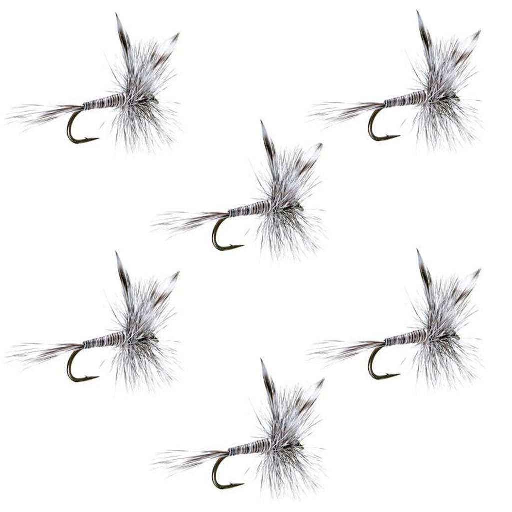 Mosquito Classic Trout Dry Fly - Set of 6 Flies Size 20