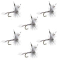 Mosquito Classic Trout Dry Fly - Set of 6 Flies Size 20