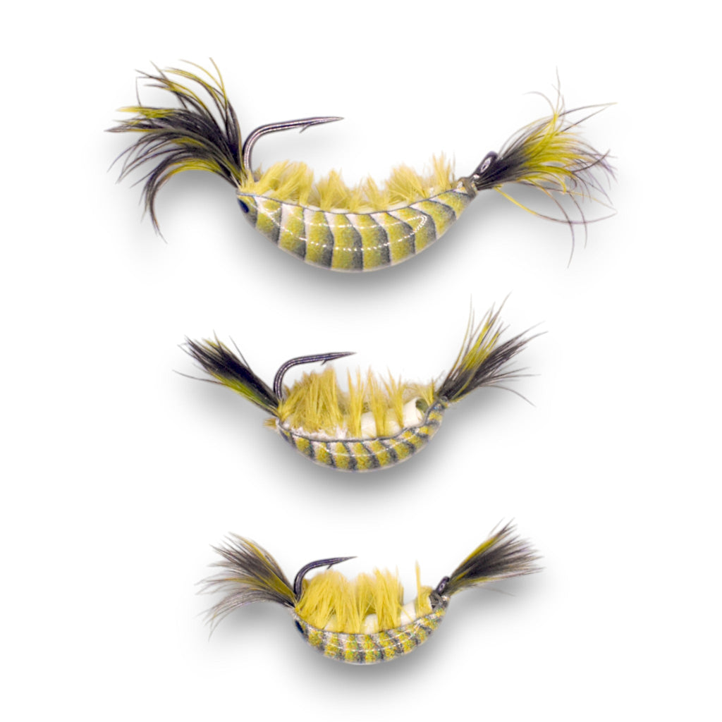 OLIVE GREEN TUNGSTEN GLOW NATURAL SHRIMP SERIES