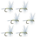 Pale Morning Dun PMD Classic Dry Fly - 6 Flies Hook Size 16