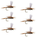 Hares Ear Parachute Classic Dry Fly - 6 Flies Hook Size 16