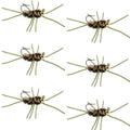 Barbless Pat's Rubber Legs Tungsten Bead Jigged  Coffee/Black Euro Nymph  - Set of 6 Flies Hook Size 10